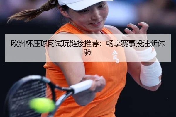 欧洲杯压球网试玩链接推荐：畅享赛事投注新体验