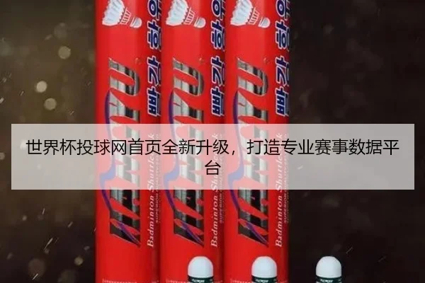 世界杯投球网首页全新升级，打造专业赛事数据平台
