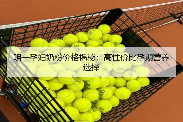明一孕妇奶粉价格揭秘：高性价比孕期营养选择