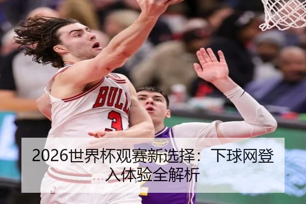 2026世界杯观赛新选择：下球网登入体验全解析